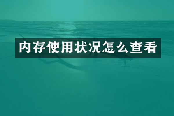 内存使用状况怎么查看