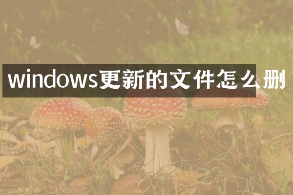 windows更新的文件怎么删