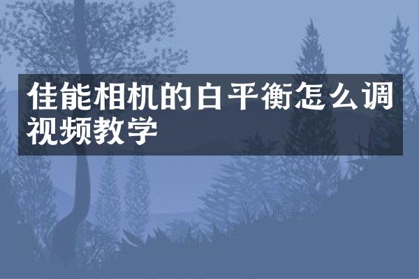 佳能相机的白平衡怎么调视频教学