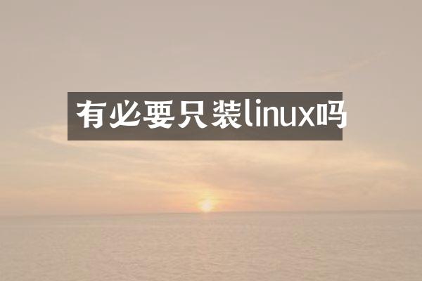 有必要只装linux吗