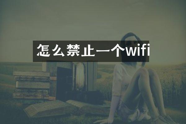 怎么禁止一个wifi