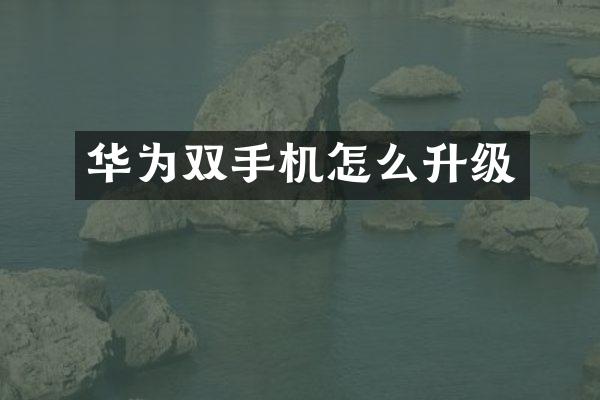 华为双手机怎么升级