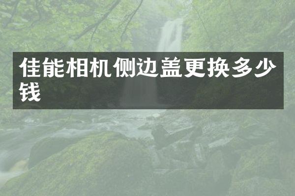 佳能相机侧边盖更换多少钱