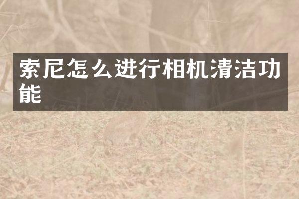 索尼怎么进行相机清洁功能