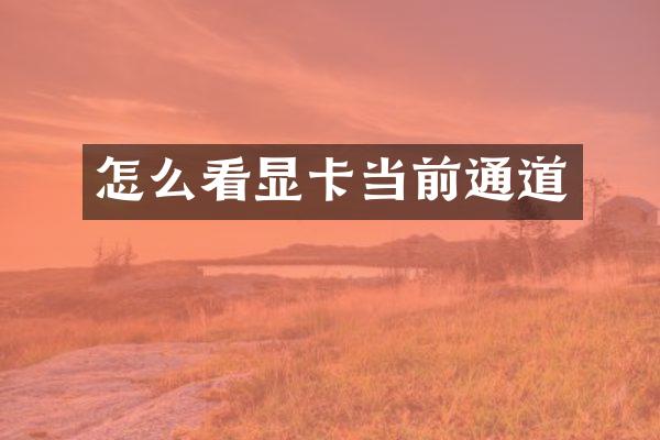 怎么看显卡当前通道
