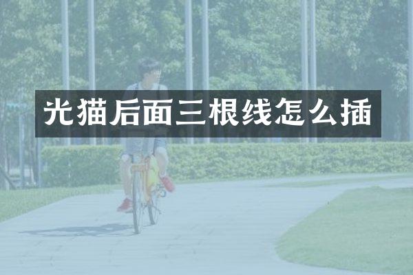 光猫后面三根线怎么插