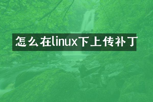 怎么在linux下上传补丁