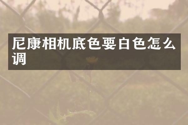 尼康相机底色要白色怎么调