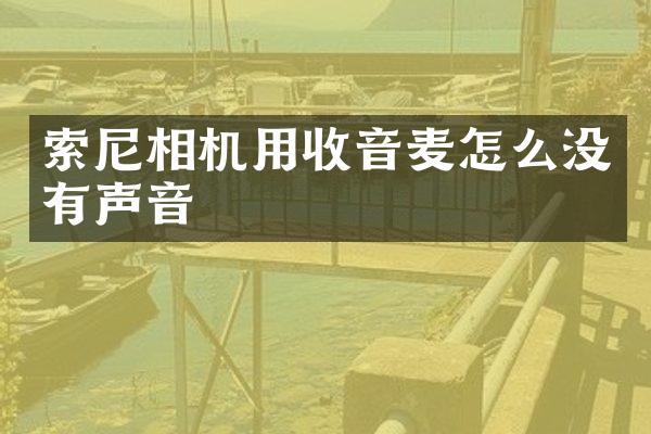 索尼相机用收音麦怎么没有声音