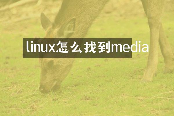 linux怎么找到media