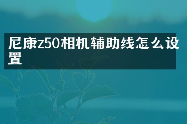 尼康z50相机辅助线怎么设置