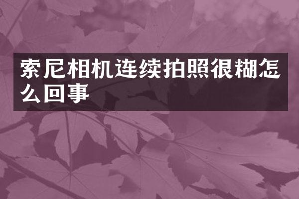 索尼相机连续拍照很糊怎么回事