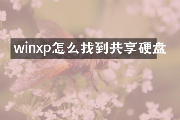 winxp怎么找到共享硬盘
