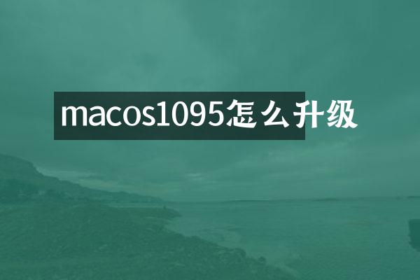 macos1095怎么升级