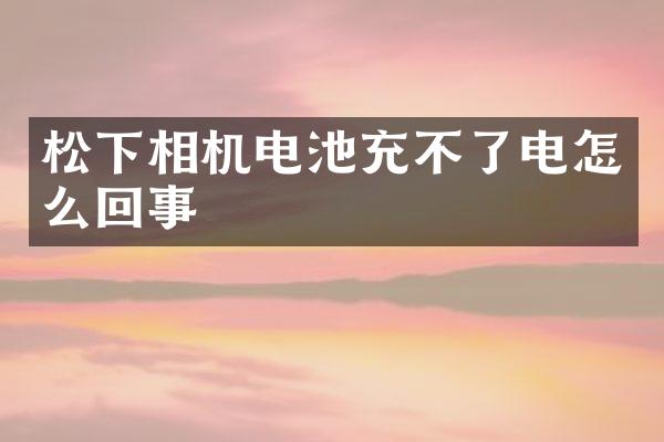 松下相机电池充不了电怎么回事