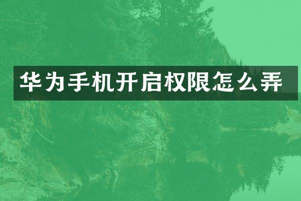 华为手机开启权限怎么弄