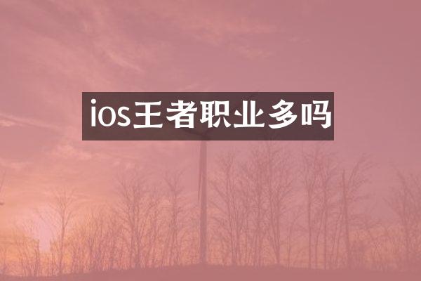 ios王者职业多吗