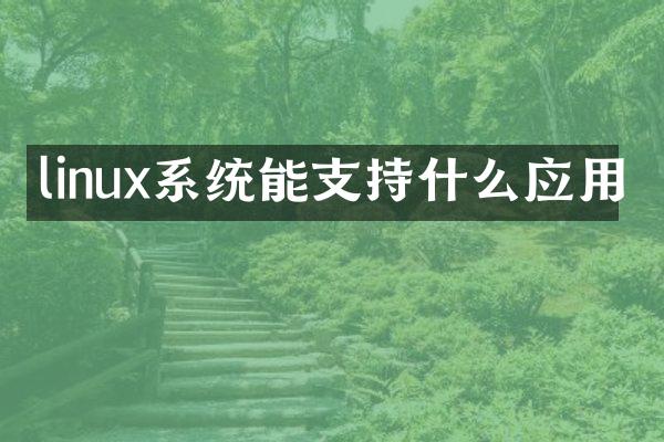 linux系统能支持什么应用