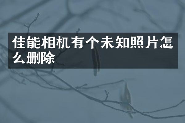 佳能相机有个未知照片怎么删除