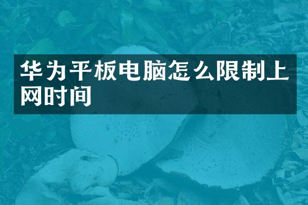 华为平板电脑怎么限制上网时间