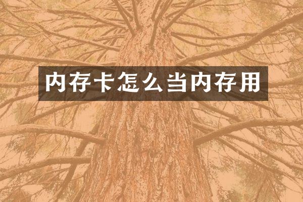 内存卡怎么当内存用