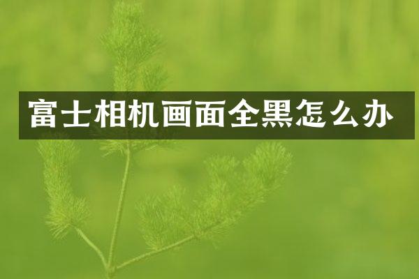 富士相机画面全黑怎么办