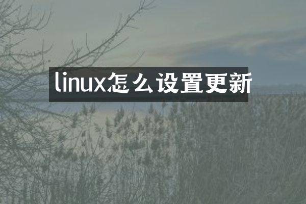 linux怎么设置更新