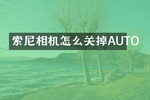 索尼相机怎么关掉AUTO