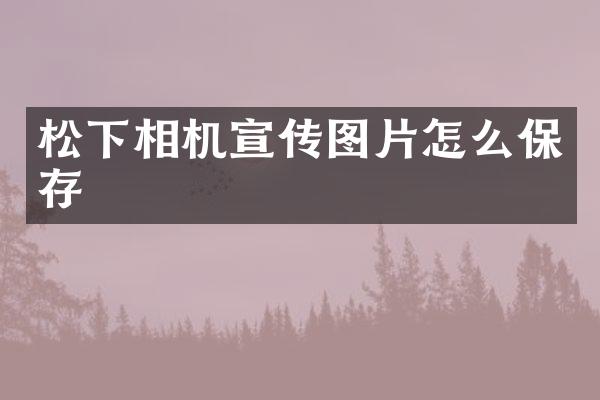 松下相机宣传图片怎么保存