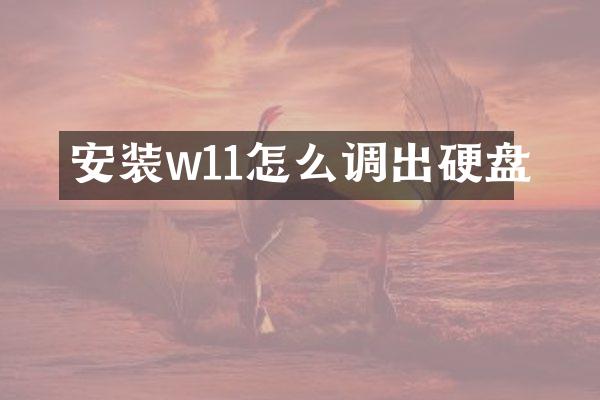 安装w11怎么调出硬盘