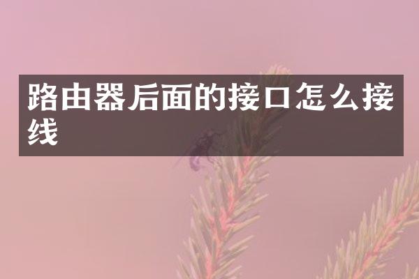 路由器后面的接口怎么接线