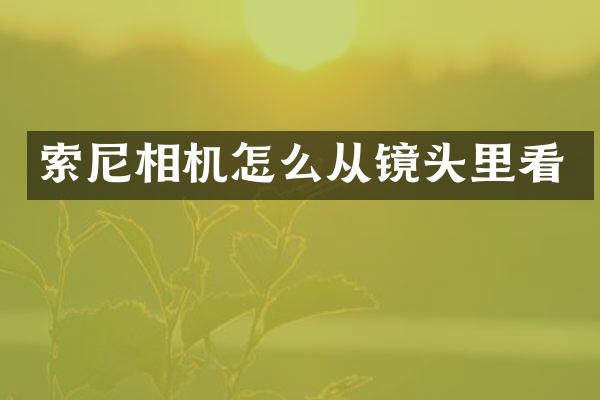 索尼相机怎么从镜头里看