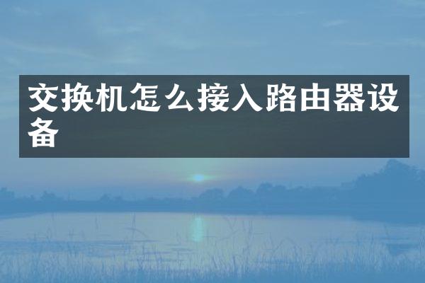 交换机怎么接入路由器设备