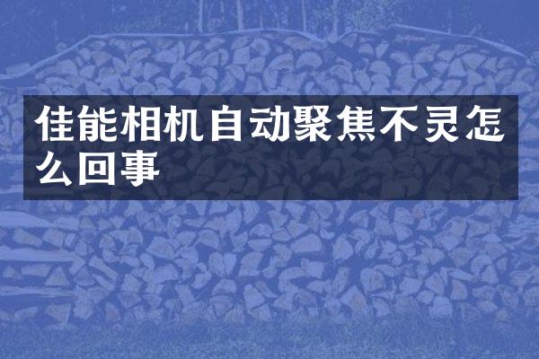 佳能相机自动聚焦不灵怎么回事