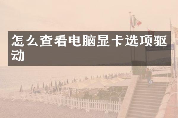 怎么查看电脑显卡选项驱动