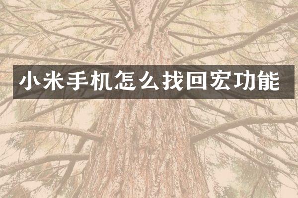 小米手机怎么找回宏功能