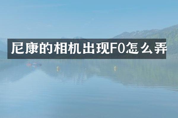 尼康的相机出现F0怎么弄