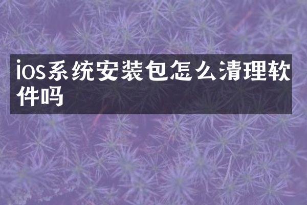 ios系统安装包怎么清理软件吗