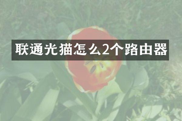 联通光猫怎么2个路由器