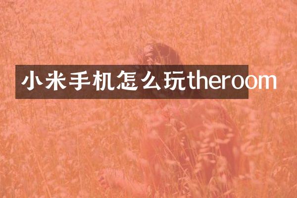 小米手机怎么玩theroom