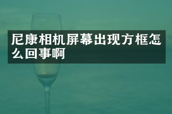 尼康相机屏幕出现方框怎么回事啊