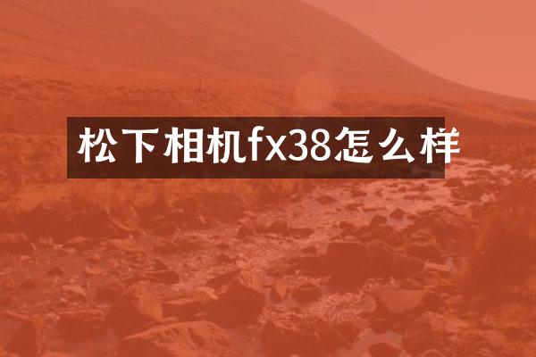 松下相机fx38怎么样
