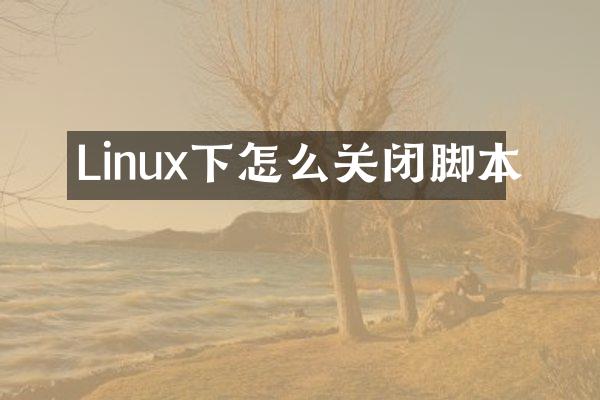 Linux下怎么关闭脚本
