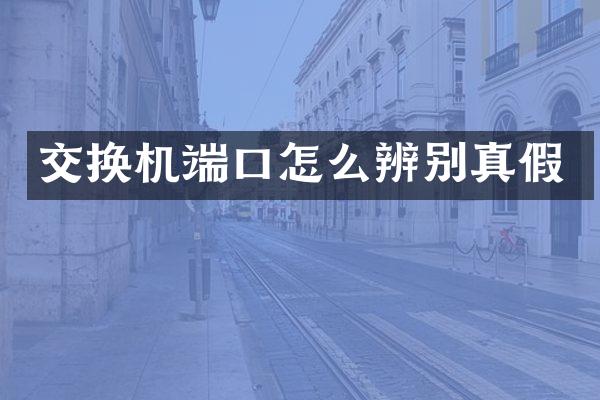 交换机端口怎么辨别真假