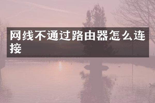 网线不通过路由器怎么连接