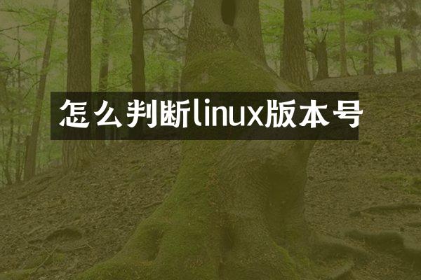 怎么判断linux版本号