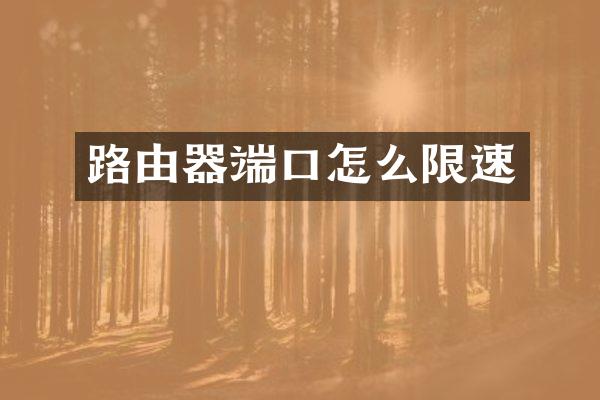 路由器端口怎么限速