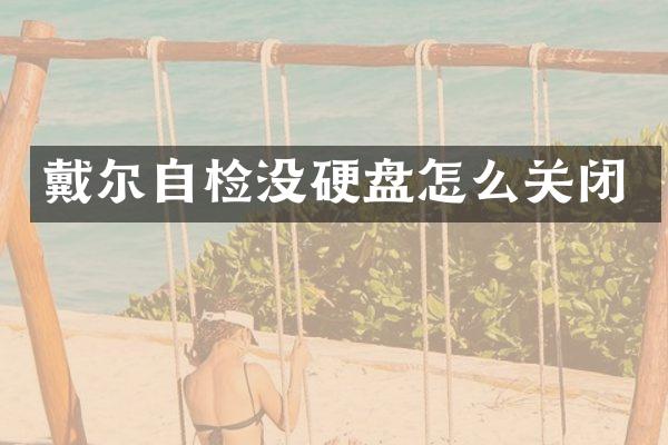 戴尔自检没硬盘怎么关闭