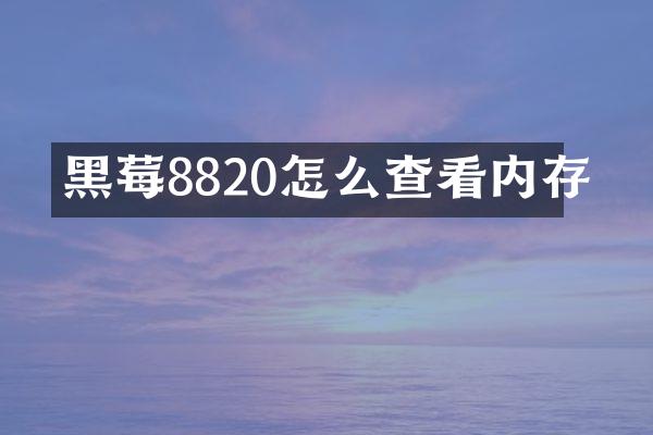 黑莓8820怎么查看内存