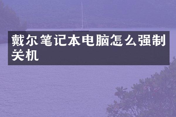 戴尔笔记本电脑怎么强制关机